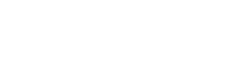 Asorzana Investment